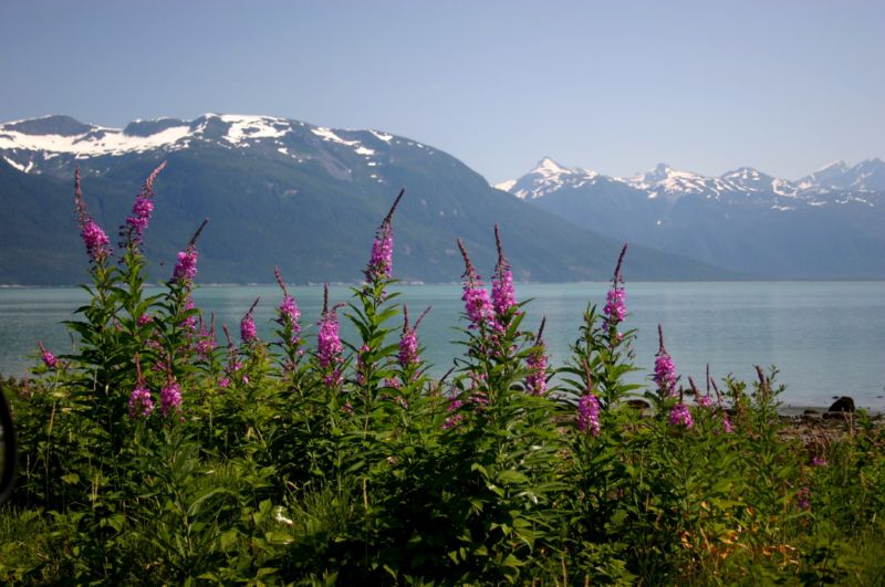 062404 Haines AK (10031)